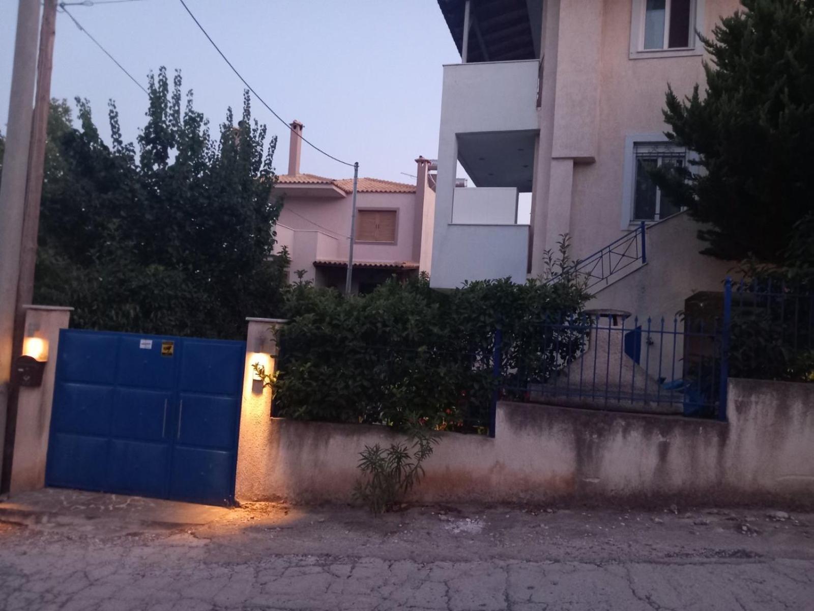 Afrodite أرتيميدا المظهر الخارجي الصورة